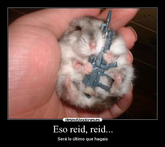 Eso reid, reid... -