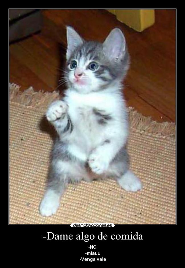 -Dame algo de comida - 