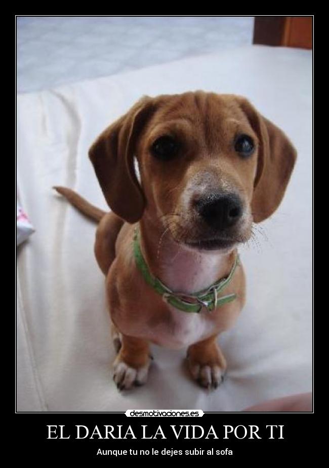 EL DARIA LA VIDA POR TI -