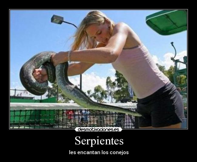 Serpientes -