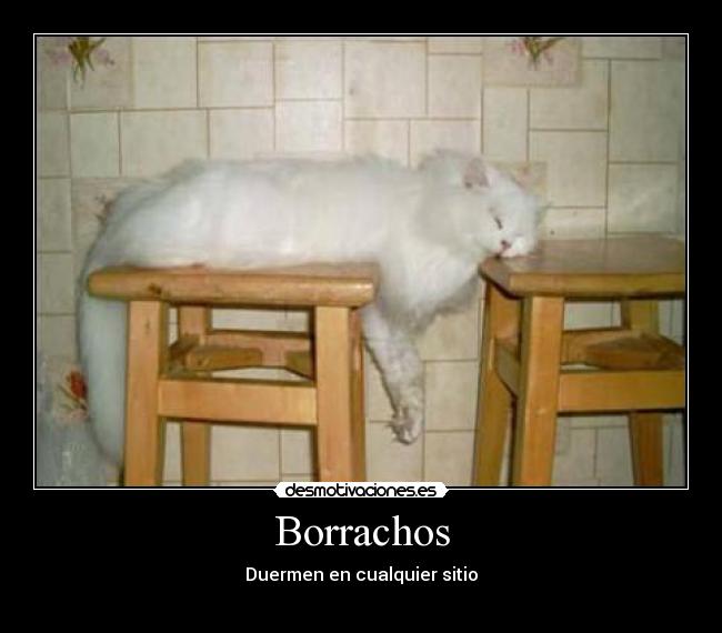 Borrachos -