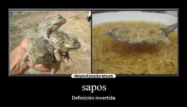 sapos - Definición invertida