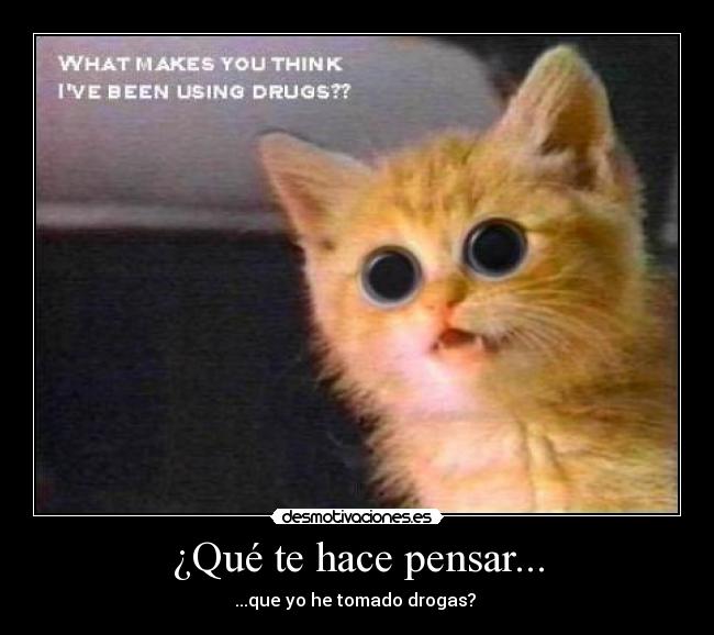 ¿Qué te hace pensar... -