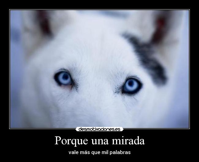 Porque una mirada - vale más que mil palabras