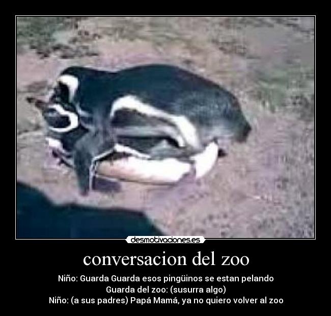 conversacion del zoo - Niño: Guarda Guarda esos pingüinos se estan pelando
Guarda del zoo: (susurra algo)
Niño: (a sus padres) Papá Mamá, ya no quiero volver al zoo