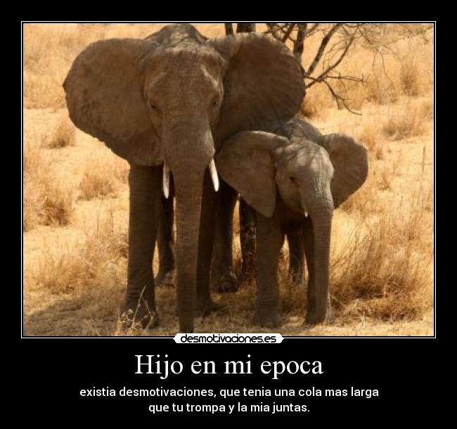 Hijo en mi epoca - existia desmotivaciones, que tenia una cola mas larga
que tu trompa y la mia juntas.