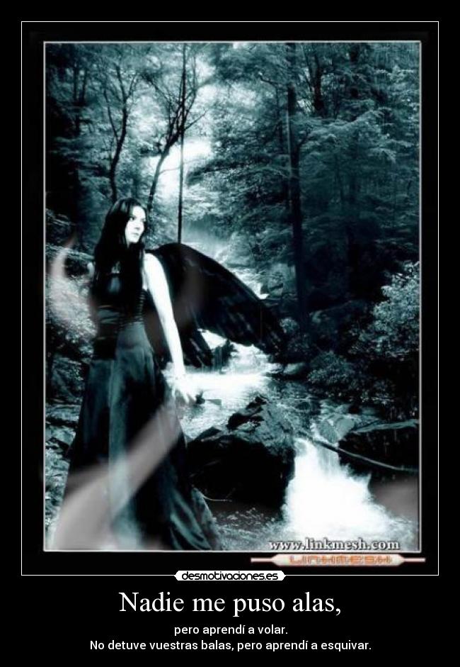 Nadie me puso alas, -