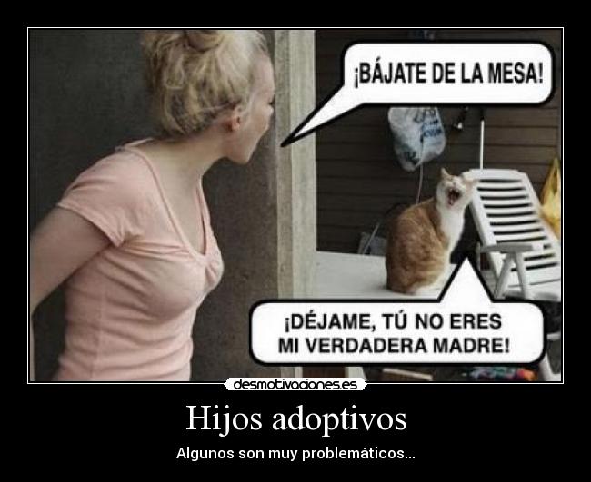 carteles gato desmotivaciones