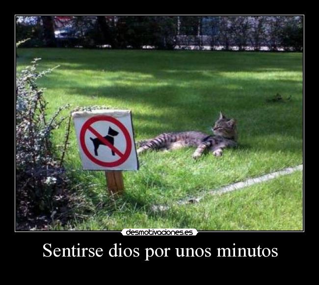 Sentirse dios por unos minutos - 