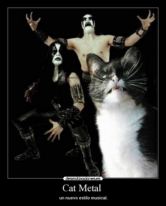 Cat Metal - un nuevo estilo musical.