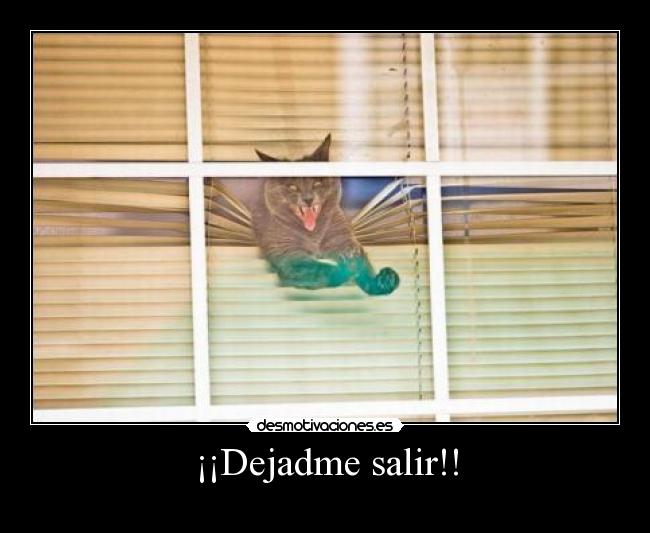 ¡¡Dejadme salir!! - 