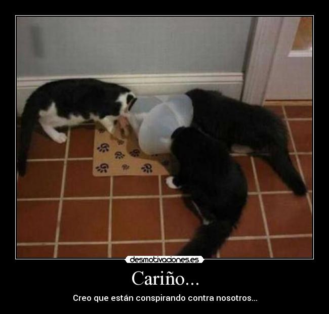 Cariño... -