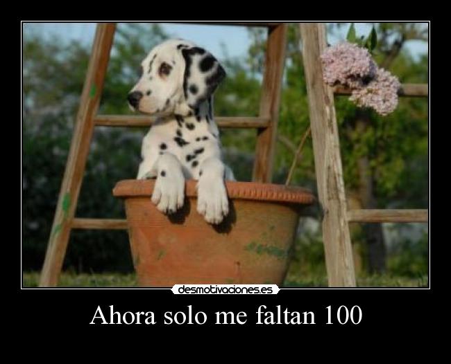 Ahora solo me faltan 100 -