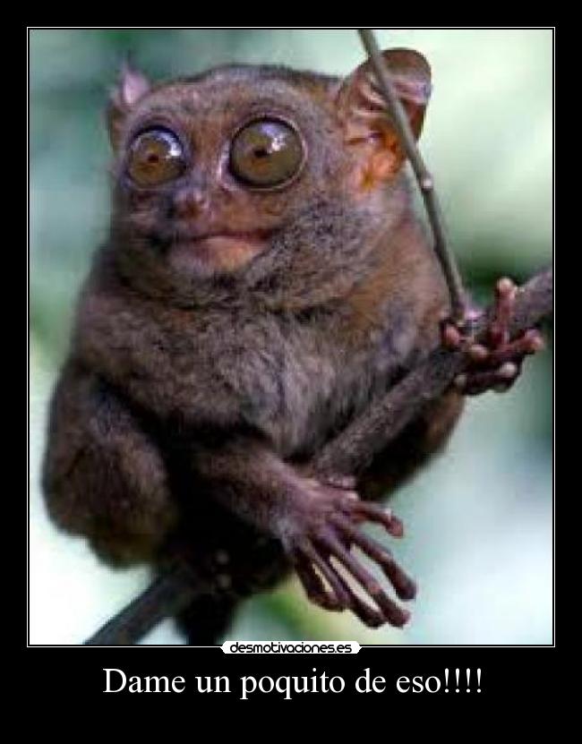 Dame un poquito de eso!!!! -