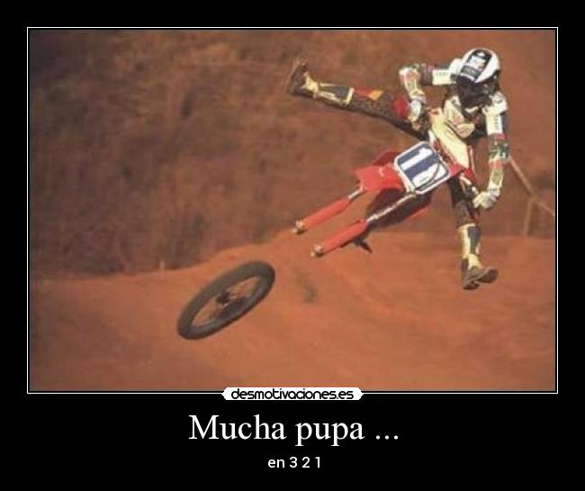 Mucha pupa ... -