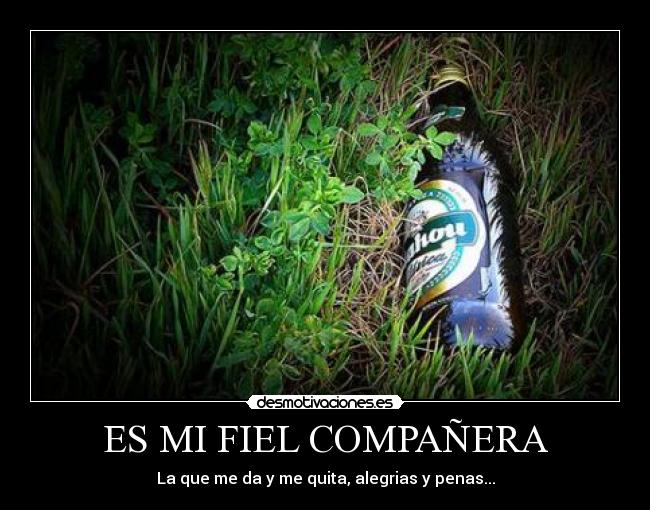 ES MI FIEL COMPAÑERA - 