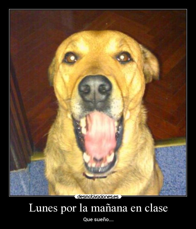 Lunes por la mañana en clase -