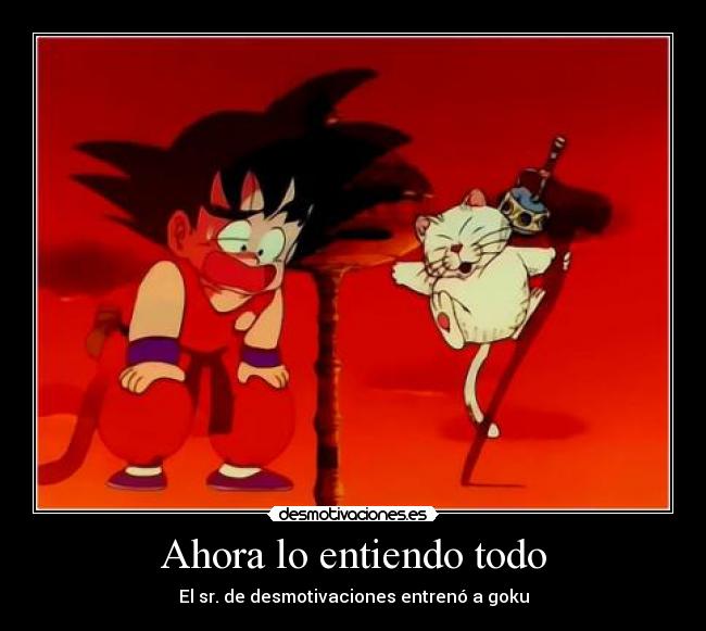 Ahora lo entiendo todo - El sr. de desmotivaciones entrenó a goku