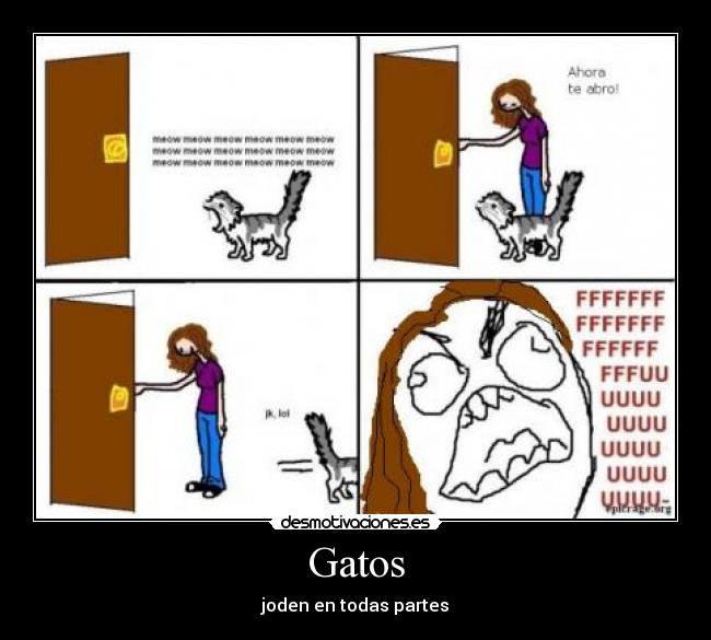 Gatos - joden en todas partes