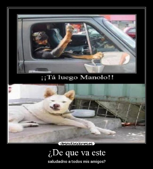 ¿De que va este - saludadno a todos mis amigos?