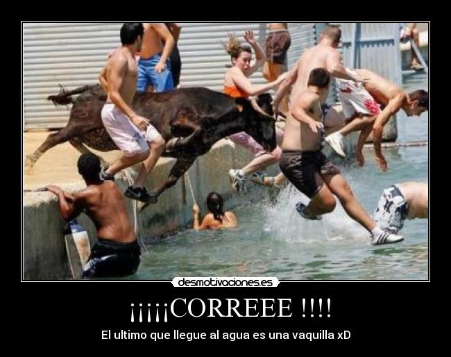 ¡¡¡¡¡CORREEE !!!! - El ultimo que llegue al agua es una vaquilla xD