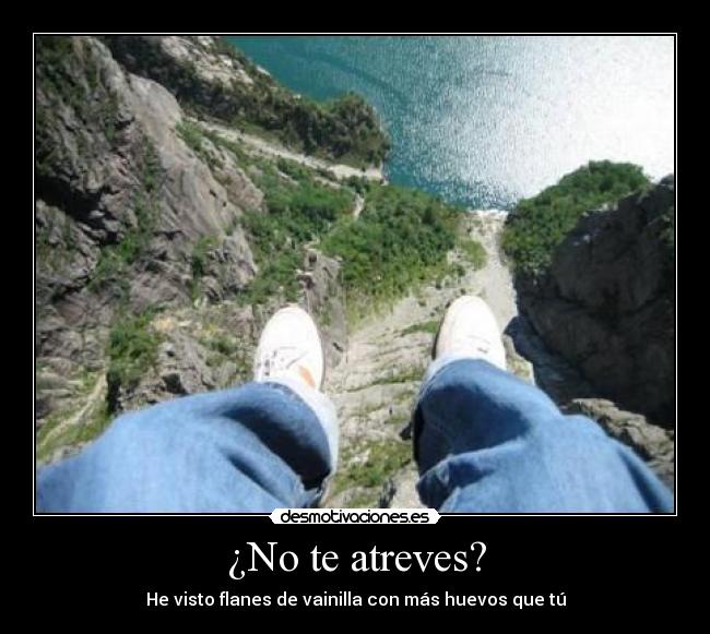 ¿No te atreves? - He visto flanes de vainilla con más huevos que tú