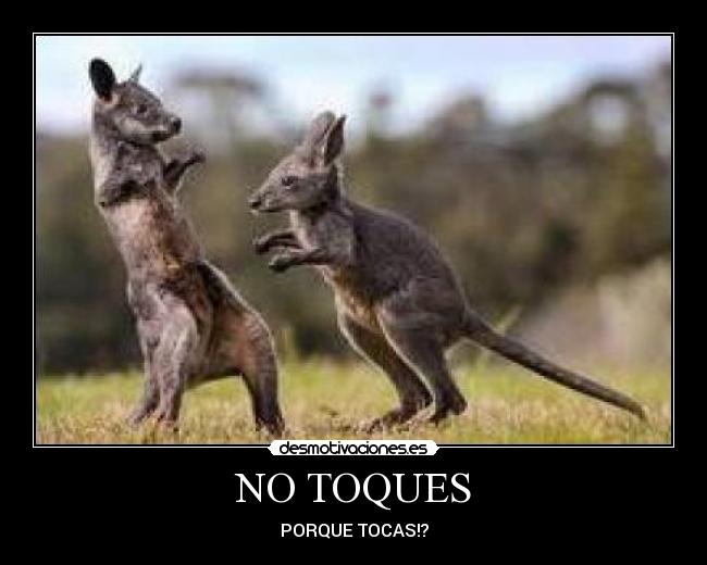 NO TOQUES -