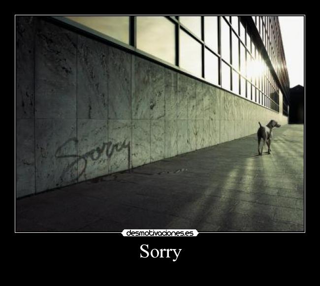 Sorry - 