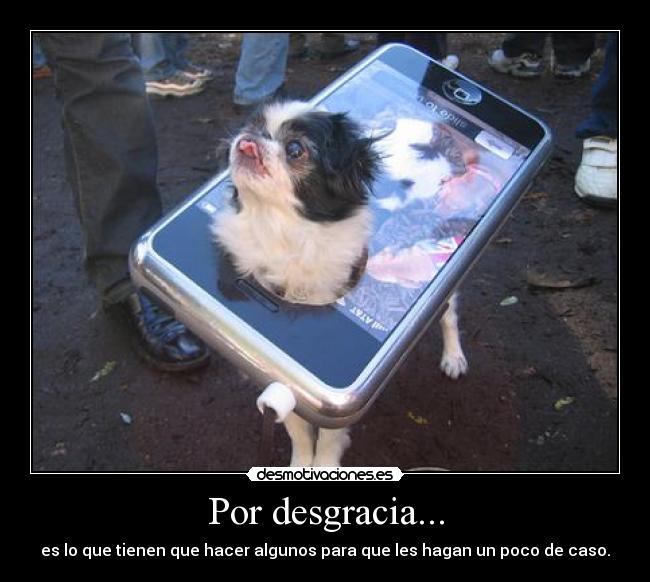 Por desgracia... - es lo que tienen que hacer algunos para que les hagan un poco de caso.