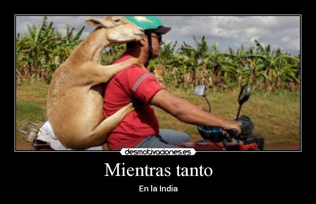 Mientras tanto - En la India