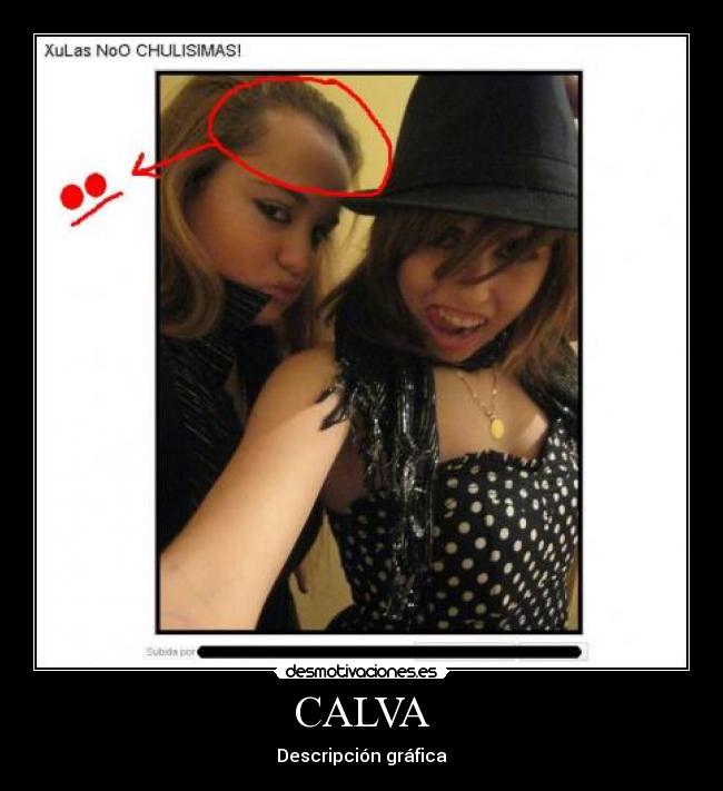 CALVA - 