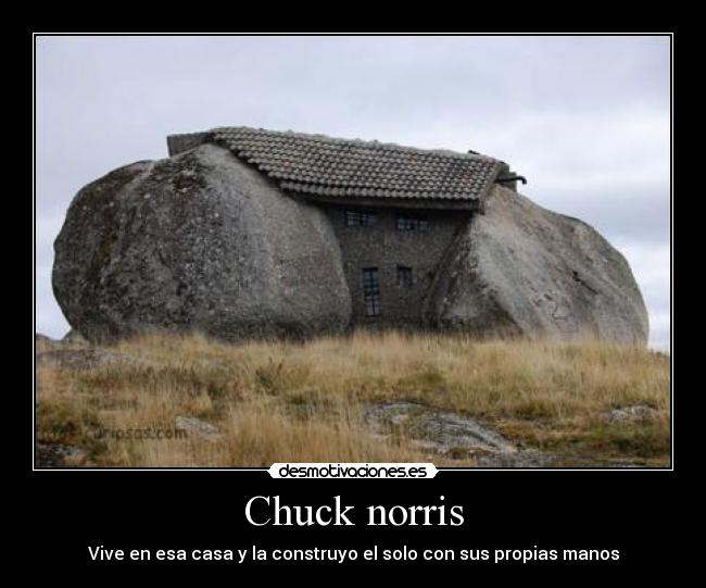 Chuck norris -