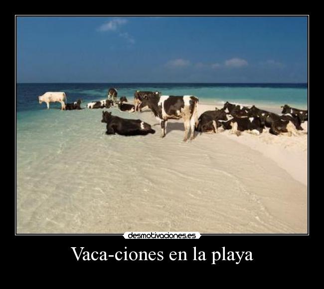 Vaca-ciones en la playa - 