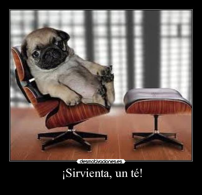 ¡Sirvienta, un té! - 