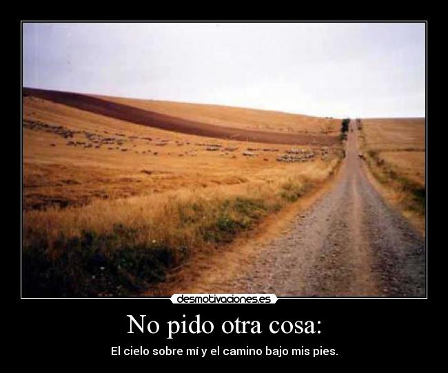 carteles 323 desmotivaciones