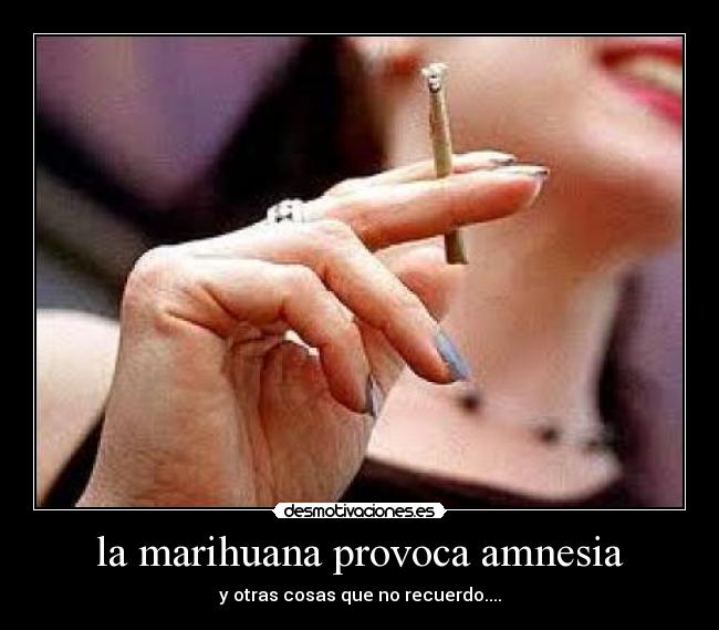 la marihuana provoca amnesia - y otras cosas que no recuerdo....