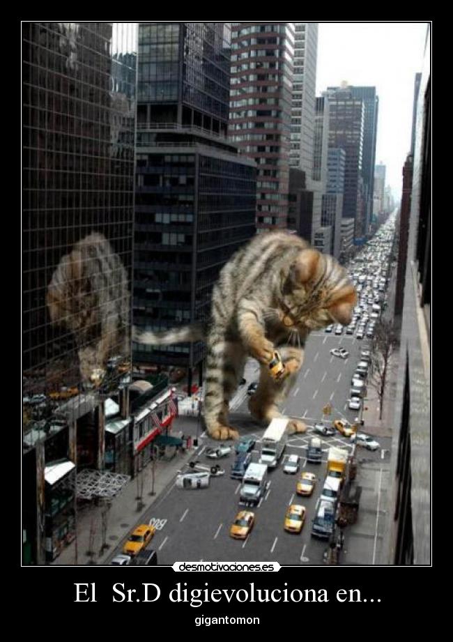 El  Sr.D digievoluciona en... - 