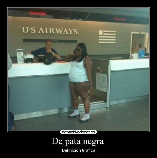 De pata negra - Definición Gráfica