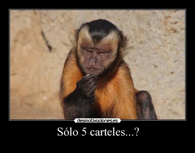 Sólo 5 carteles...? - 