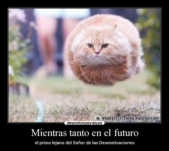 Mientras tanto en el futuro -