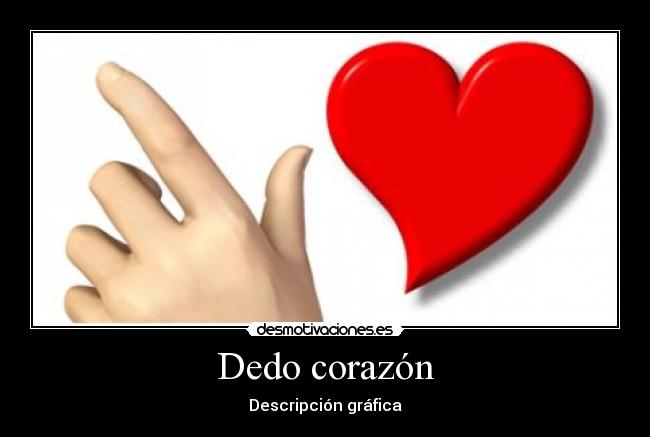 Dedo corazón - Descripción gráfica