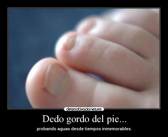 Dedo gordo del pie... - 