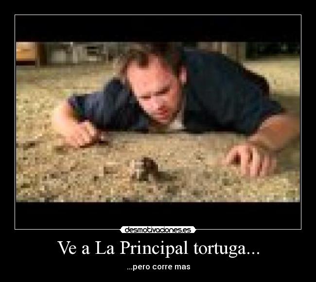 carteles llamo earl principal tortuga pero corre mas randy name ealr desmotivaciones
