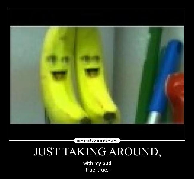 JUST TAKING AROUND, - with my bud
-true, true...