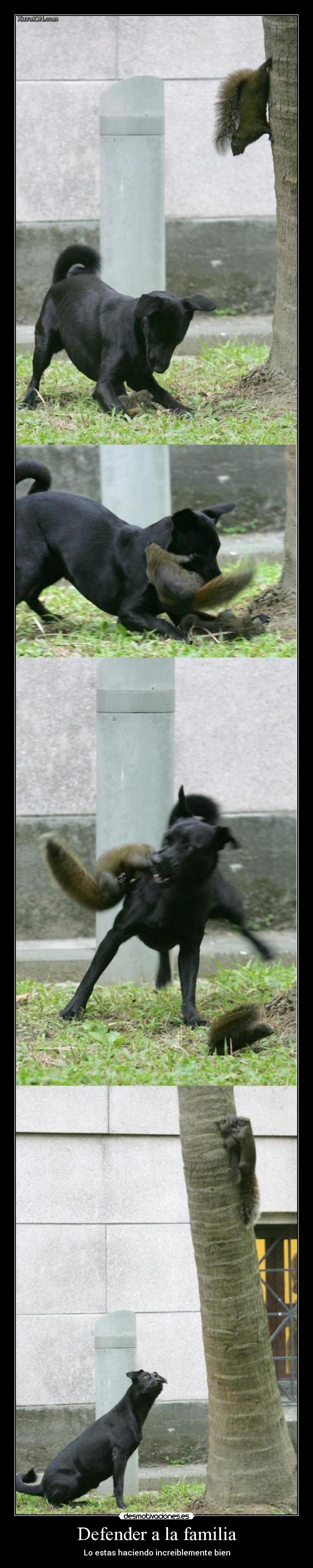 Defender a la familia -