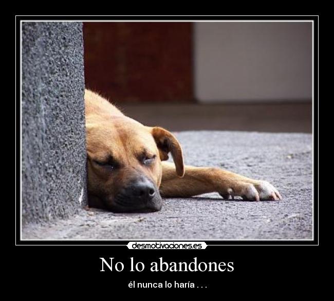 No lo abandones - él nunca lo haría . . .