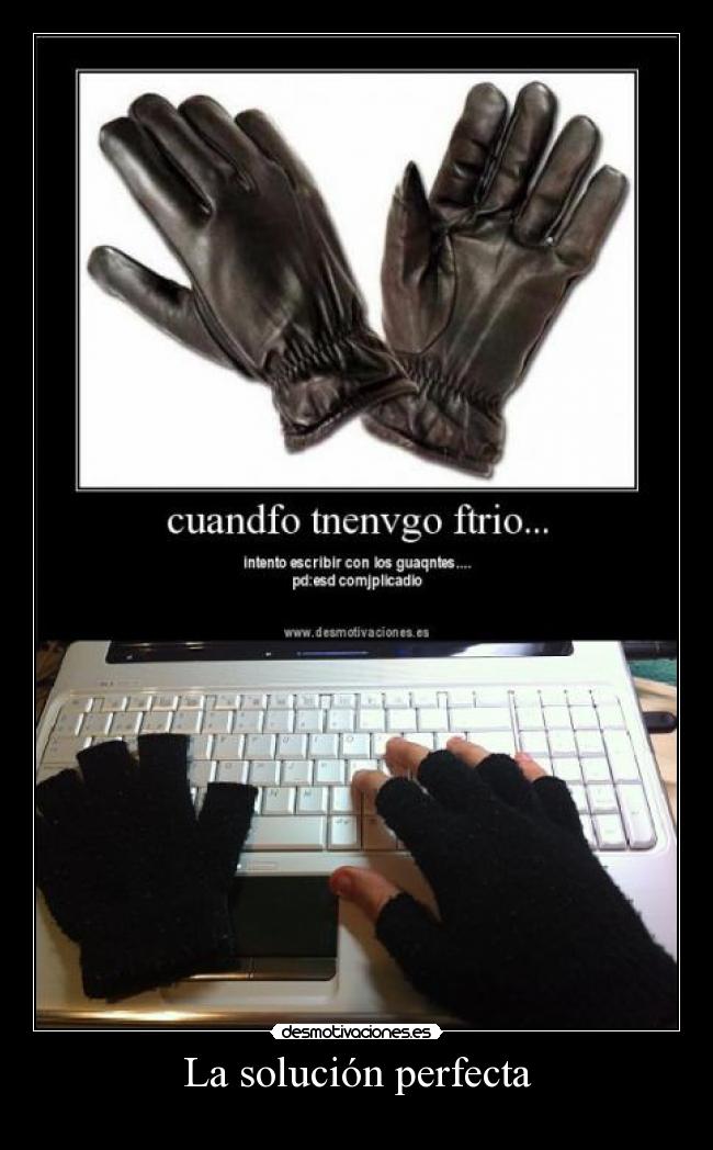 La solución perfecta -