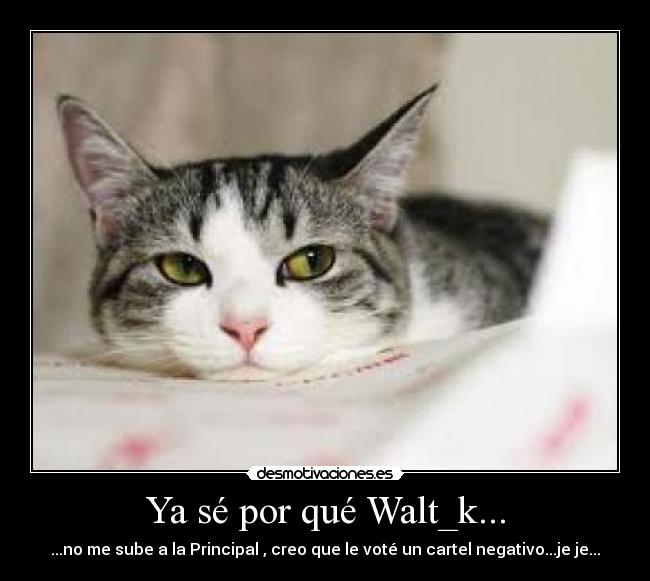 Ya sé por qué Walt_k... - 