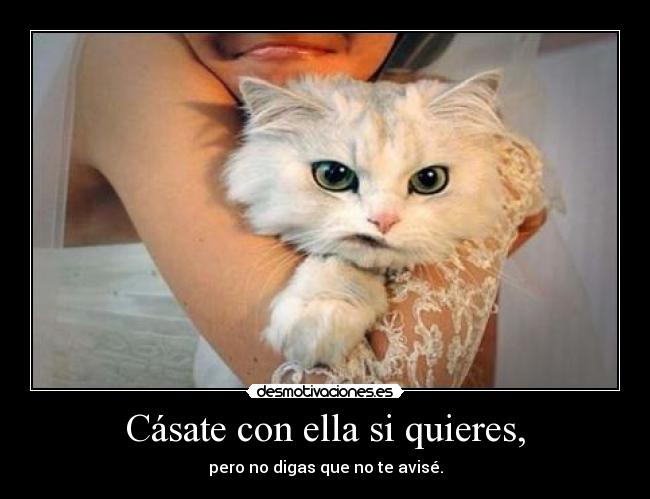 Cásate con ella si quieres, -