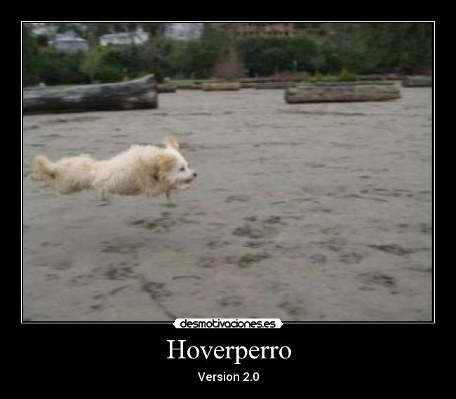 Hoverperro -